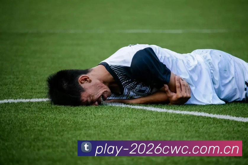 2026世界杯官方数据服务