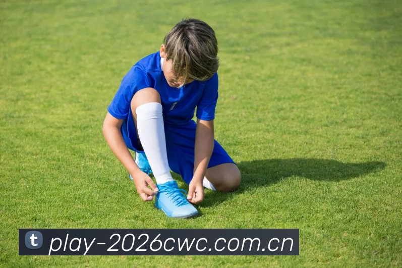 2026世界杯官方数据应用界面